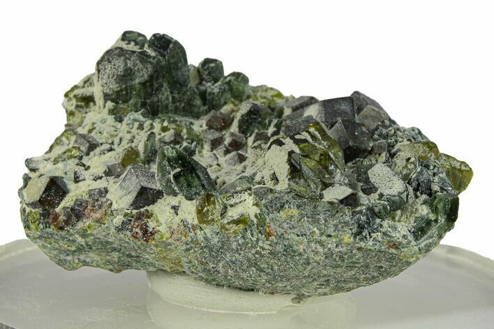 Gemmy Andradite Garnets with Diopside - Afghanistan #290362